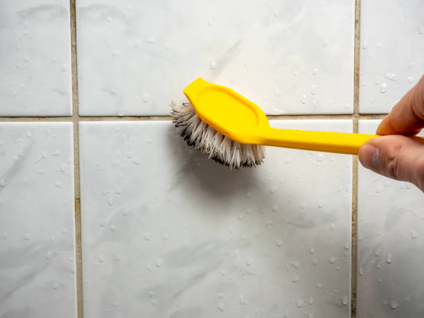 Best Residential Mold Remediation in Fairmead, CA