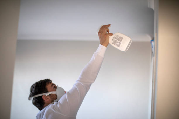Best Mold Remediation for Schools in Fairmead, CA