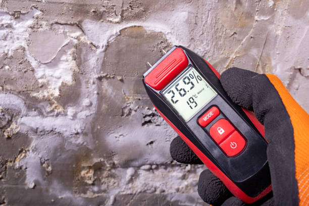 Best Mold Testing and Inspection Services in Fairmead, CA