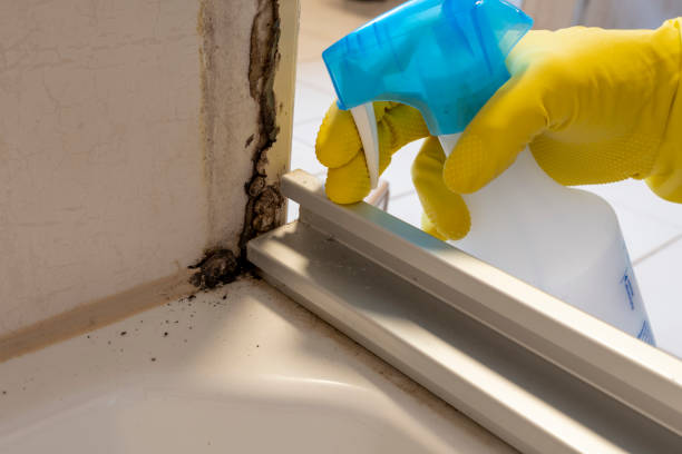 Best Post-Remediation Services in Fairmead, CA