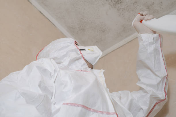 Best HVAC Mold Remediation in Fairmead, CA