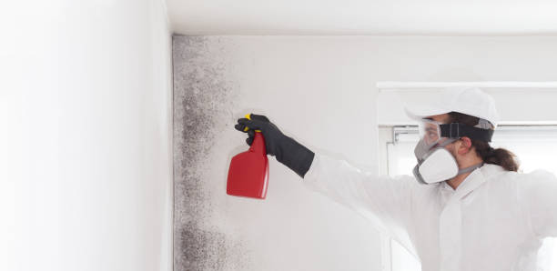 Best Bathroom Mold Remediation in Fairmead, CA