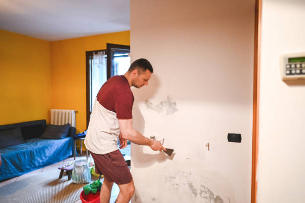 Best Localized Mold Remediation (e.g., coastal areas, humid climates) in Fairmead, CA