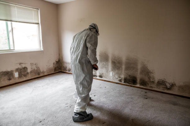 Best Residential Mold Remediation in Fairmead, CA